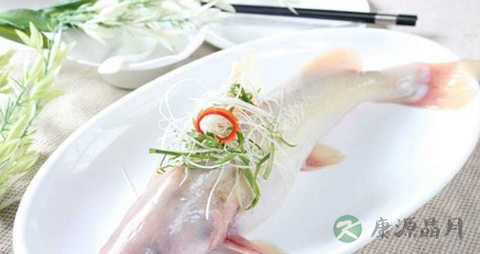江团鱼的吃法_哪些人不能吃江团鱼 江团鱼的吃法_哪些人不能吃江团鱼