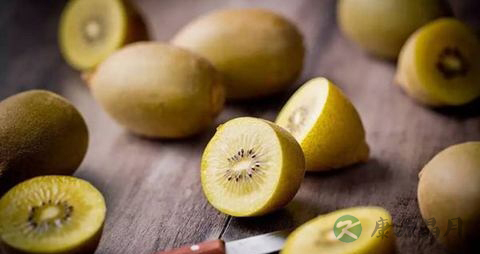 猕猴桃和奇异果有什么区别