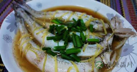 九兔鱼的营养价值_吃九兔鱼的好处