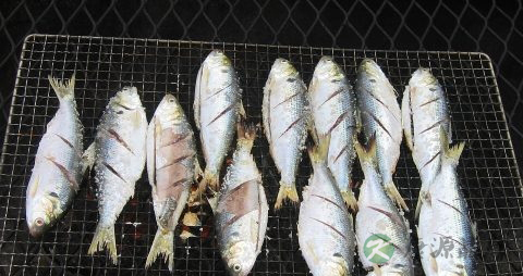 鱼怎么做才入味 鱼怎么做才入味