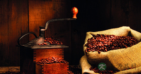 咖啡豆的营养价值_吃咖啡豆的好处