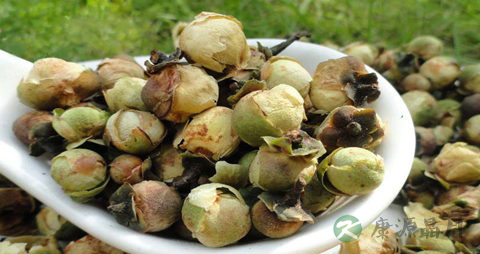 雪莲花茶的营养价值_吃雪莲花茶的好处