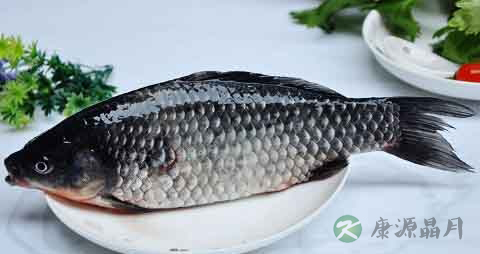 海附鱼的营养价值_吃海附鱼的好处 海附鱼的营养价值_吃海附鱼的好处