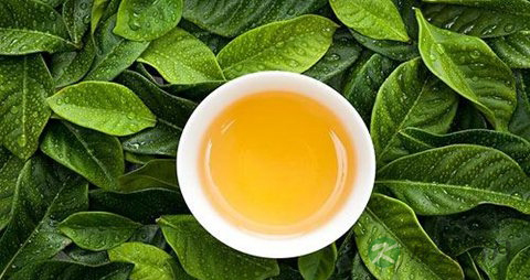 番石榴叶泡茶的功效