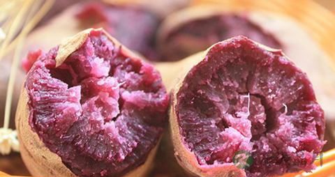 紫薯是转基因食品吗