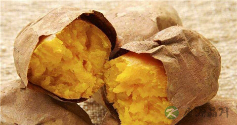 白薯和红薯的区别