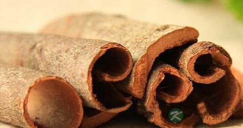 桂皮的吃法_哪些人不能吃桂皮