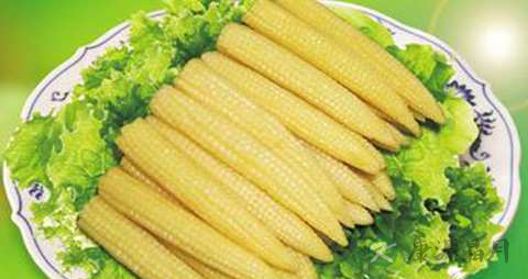 玉米笋的营养价值_吃玉米笋的好处