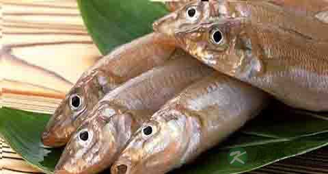 沙尖鱼的营养价值_吃沙尖鱼的好处