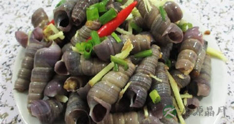 南美螺的吃法_哪些人不能吃南美螺