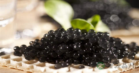 鱼子酱的营养价值_吃鱼子酱的好处