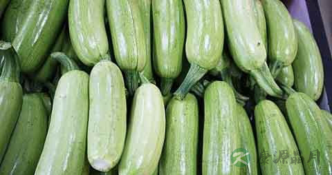 面西胡瓜的吃法_哪些人不能吃面西胡瓜