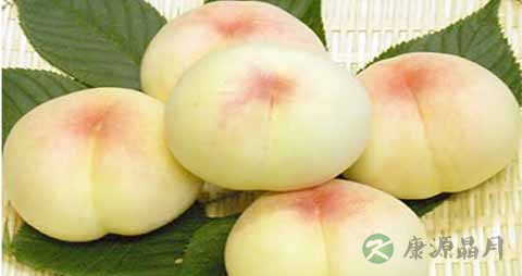 高山白桃的营养价值_吃高山白桃的好处