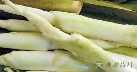 白笋的吃法_哪些人不能吃白笋