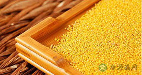 黄米的吃法_哪些人不能吃黄米