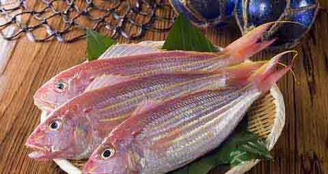 金线鱼的营养价值_吃金线鱼的好处
