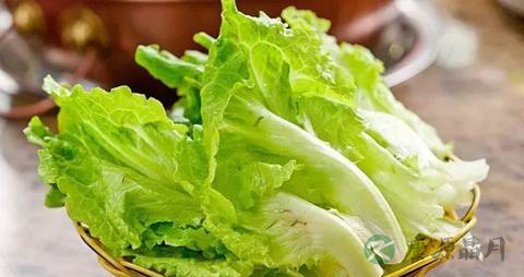 生菜怎么做不发黑