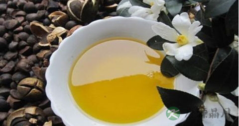 茶油的吃法_哪些人不能吃茶油