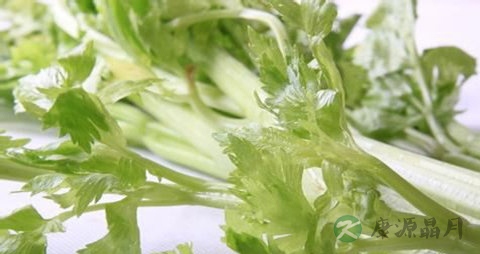 芹黄的营养价值_吃芹黄的好处