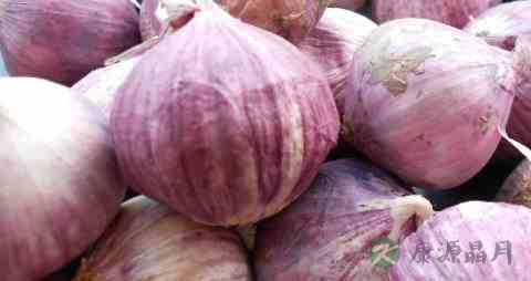 泡腊八蒜用塑料瓶好吗 泡腊八蒜用塑料瓶好吗