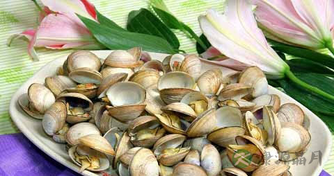蚶子的营养价值_吃蚶子的好处 蚶子的营养价值_吃蚶子的好处