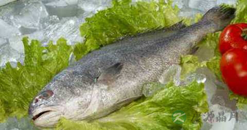 鮸鱼的营养价值_吃鮸鱼的好处 鮸鱼的营养价值_吃鮸鱼的好处