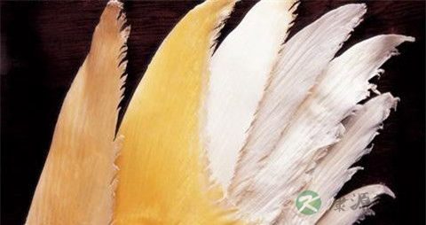 新鲜鱼翅怎么去腥