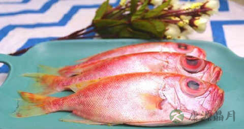 大目鱼的吃法_哪些人不能吃大目鱼