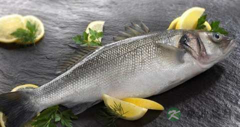 海鲁鱼的营养价值_吃海鲁鱼的好处 海鲁鱼的营养价值_吃海鲁鱼的好处