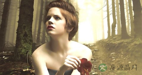 椰子粉可以做什么甜品 椰子粉可以做什么甜品