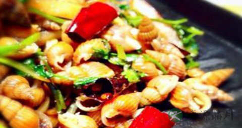 海螺丝的吃法_哪些人不能吃海螺丝 海螺丝的吃法_哪些人不能吃海螺丝