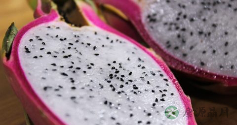 火龙果皮的营养价值_吃火龙果皮的好处
