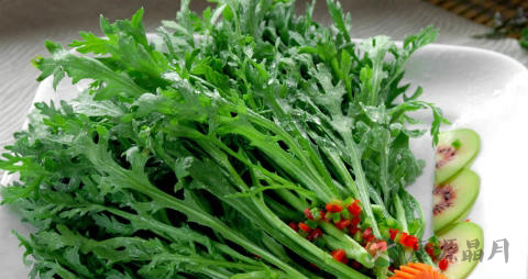 珍珠菜的营养价值_吃珍珠菜的好处