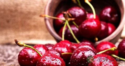 车厘子怎么区分好坏