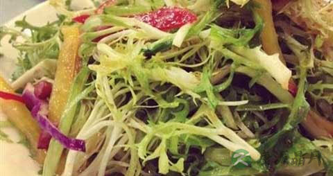 芝麻菜的营养价值_吃芝麻菜的好处