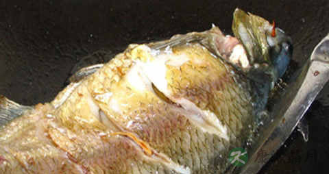 边鱼的营养价值_吃边鱼的好处