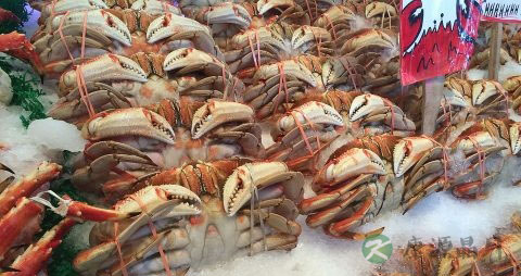 螃蟹怎么保存在冰箱 螃蟹怎么保存在冰箱