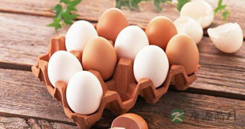 鸡蛋要煮多久才熟