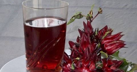 洛神花的营养价值_吃洛神花的好处