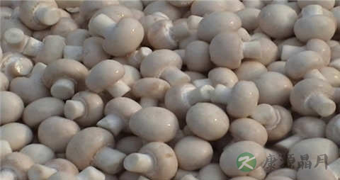 口蘑需要焯水吗