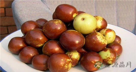 冬枣的营养价值_吃冬枣的好处
