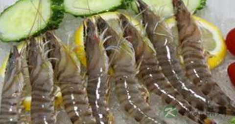 竹节虾的营养价值_吃竹节虾的好处 竹节虾的营养价值_吃竹节虾的好处