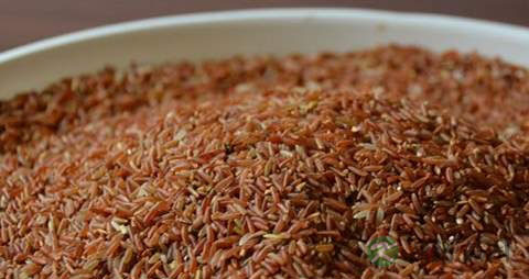 红米的营养价值_吃红米的好处