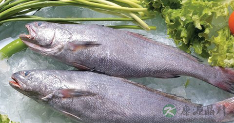 米鱼的营养价值_吃米鱼的好处