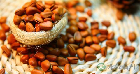 松子吃多了会怎么样 松子吃多了会怎么样