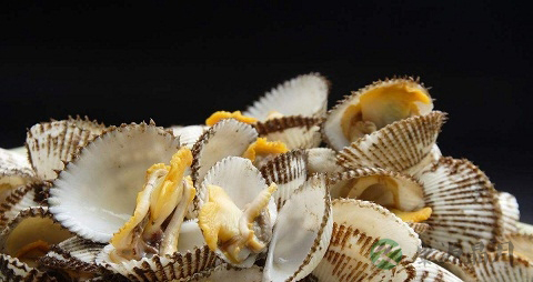 蚶子的营养价值_吃蚶子的好处 蚶子的营养价值_吃蚶子的好处