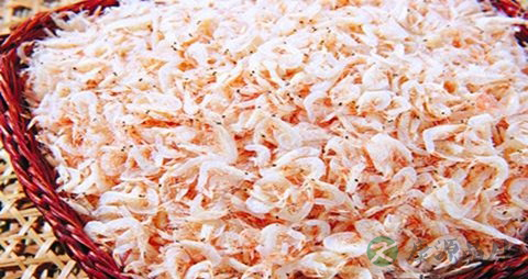 吃虾皮能补钙吗