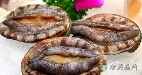 双头鲍鱼的吃法_哪些人不能吃双头鲍鱼