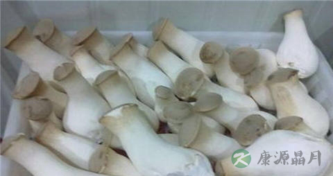 杏鲍菇需要焯水吗