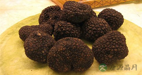 松露和松茸的区别